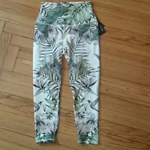 Evolution and Creation Capri leggings